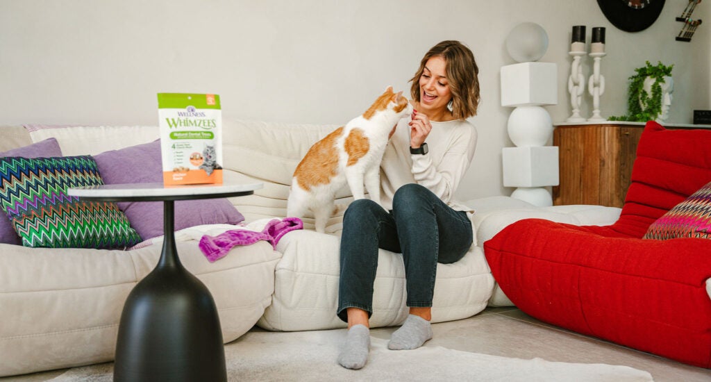 Dental Treats for Cats | Wellness Pet Food