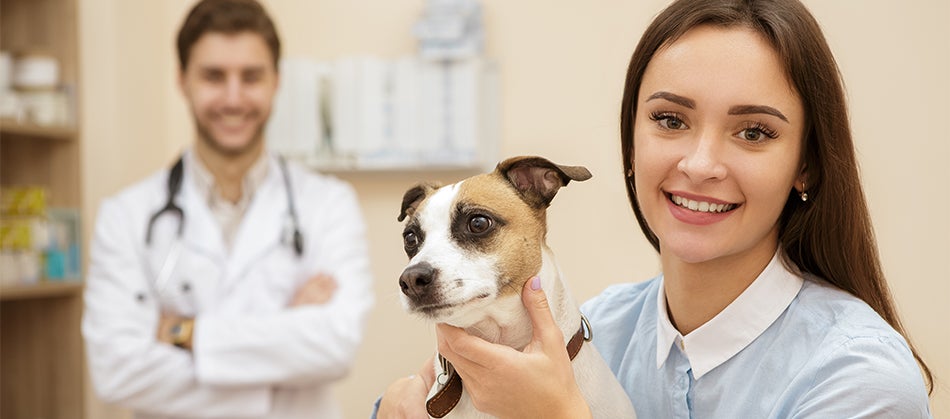 Common Cancer Symptoms In Dogs and Cats | Wellness Pet Food