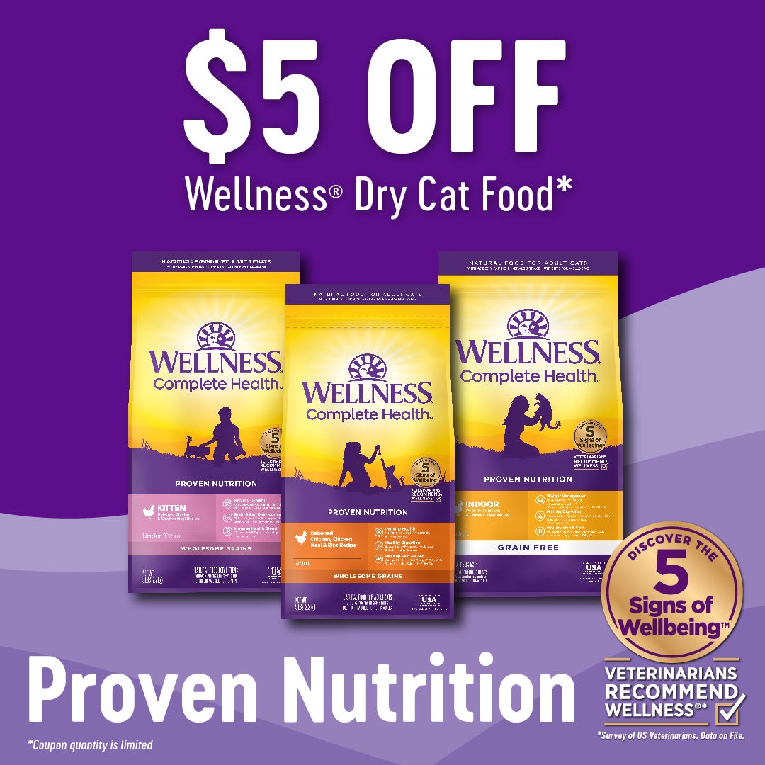 How to Transition Your Cat to Natural Wellness® Kibble | Wellness