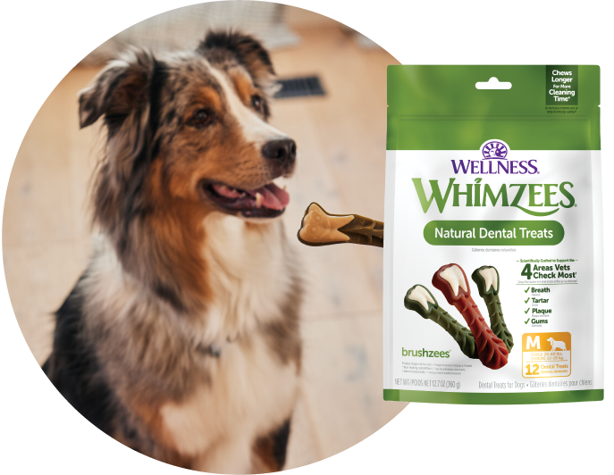 WHIMZEES treats