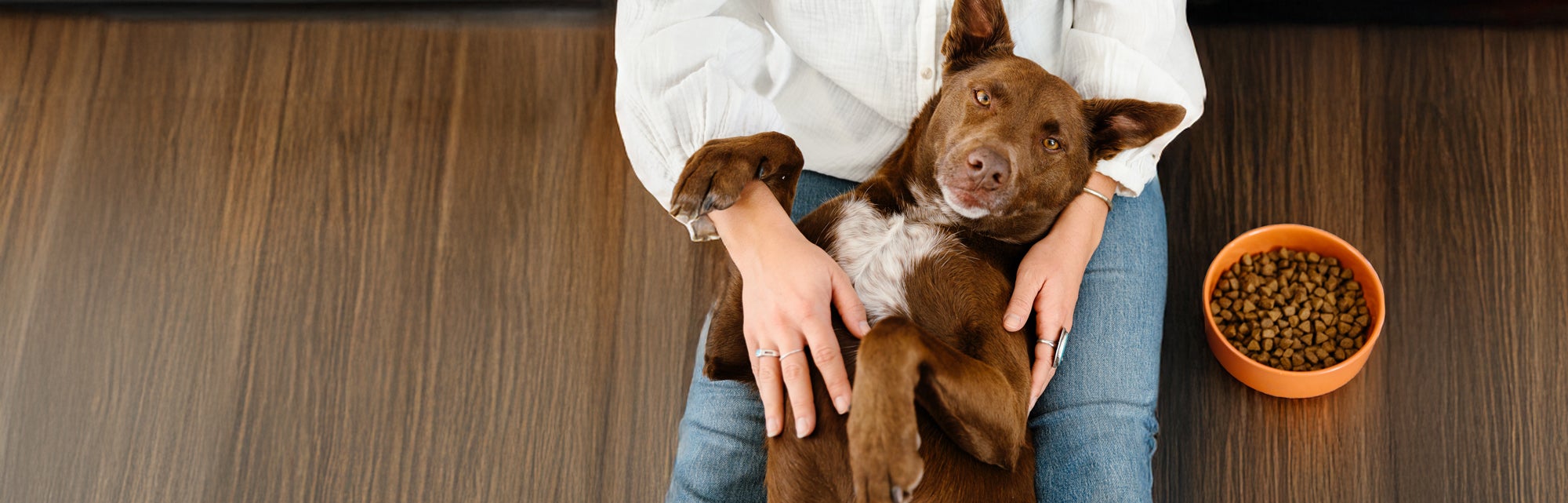 dog laying on owner with bowl of food