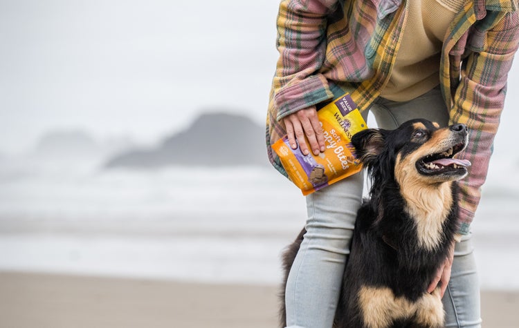 happy dog on a beach with owner, puppy bites, puppy treats, healthy puppy treats