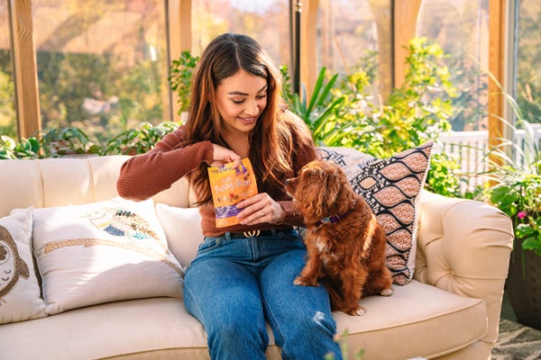 owner feeding dog puppy bites