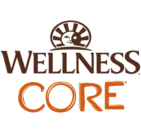 Wellness CORE logo