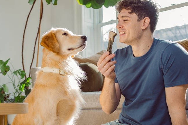 owner offering brushes treat 